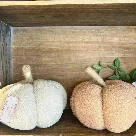 NEW Teddy Bear Fuzzy Pumpkin Fall Home Decor - So Soft and So Stinking Cute! - Picture 4 of 7